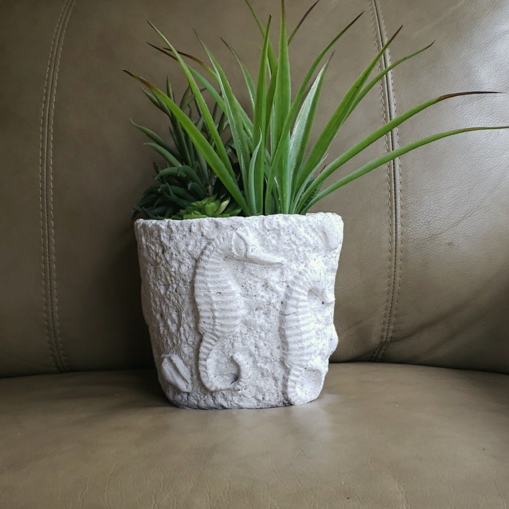 Nautical Succulents Decor